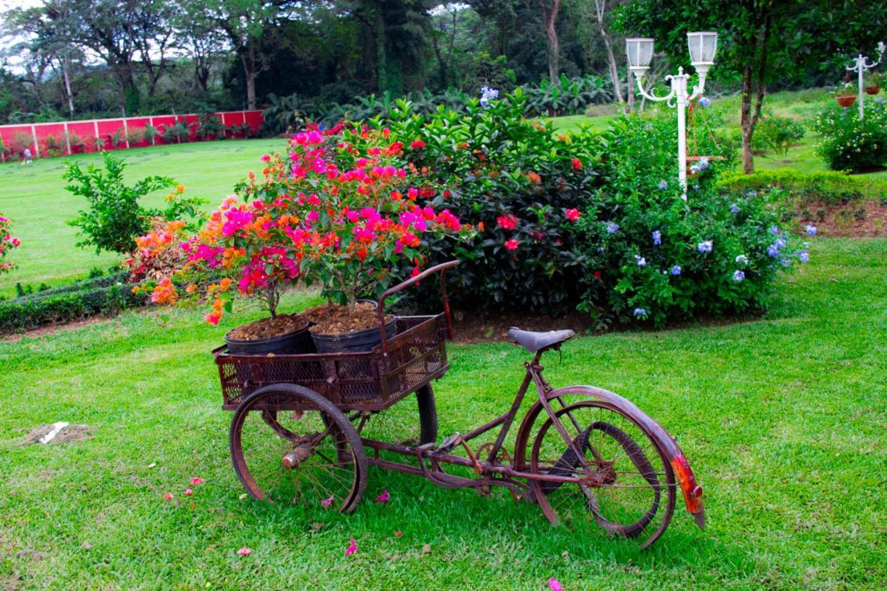 Rancho Guacamayos Hotel & Restaurantes Bonao Екстер'єр фото