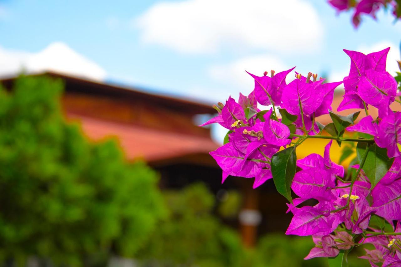Rancho Guacamayos Hotel & Restaurantes Bonao Екстер'єр фото